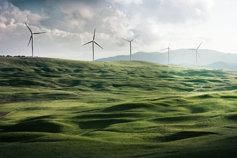 Valley of windmills. Photo by Appolinary Kalashnikova, Unsplash.